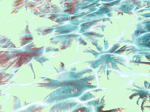 In harmony with nature palms reflection 12