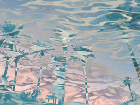 In harmony with nature palms reflection
