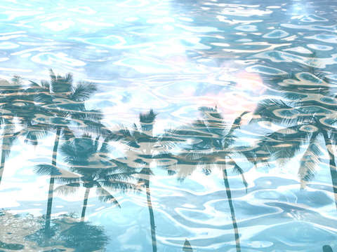 In harmony with nature palms reflection 10