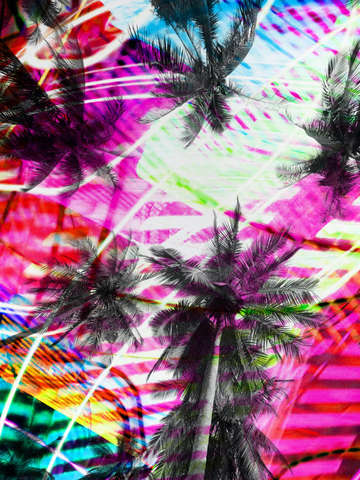 Colorful jungle