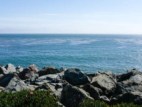 Pacific 0056