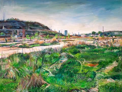 Hazelwood coke plant ii