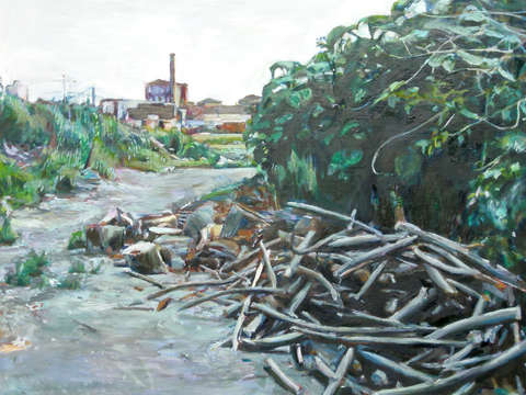 Pile of sticks