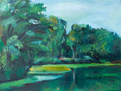 Prospect park pond ii brooklyn ny