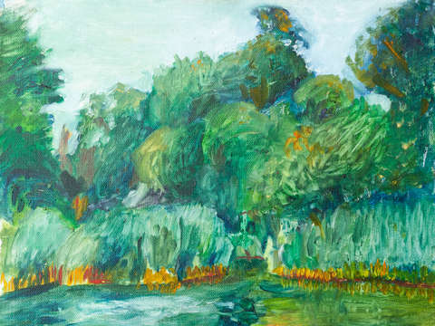 Prospect park inlet ii brookyn nyc