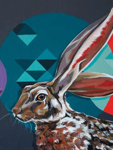 Jackrabbit 2