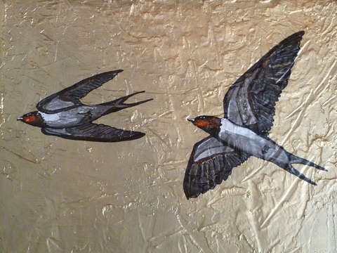 Swallows