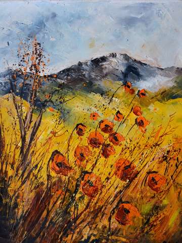 Provence poppies