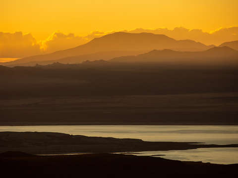 Golden morning 3