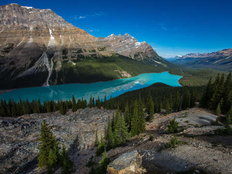 Peyto lake view