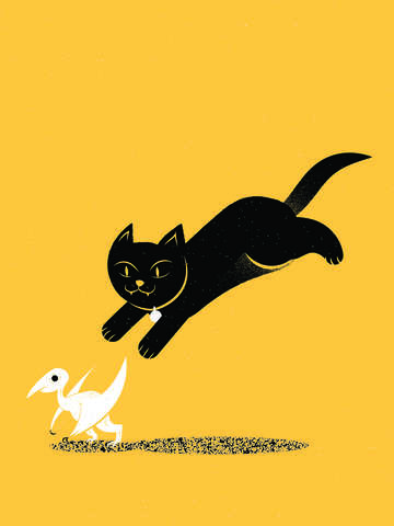 Dinosaur cat