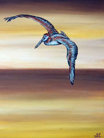 The Pelican
