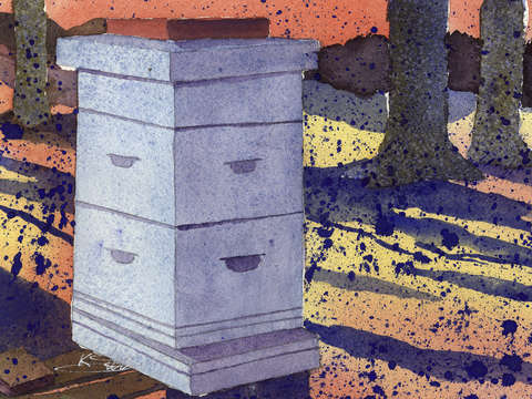Beehive
