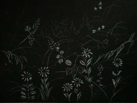Midspring floral