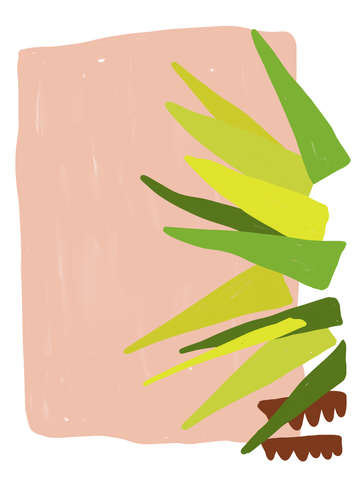 Abstract palm