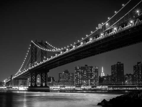 Dumbo long night