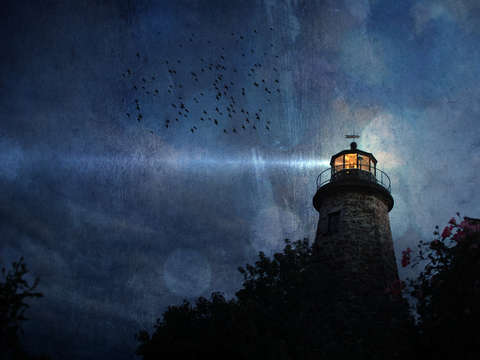 Spotlight