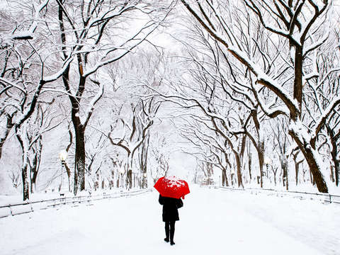 Winter walk red umbrella