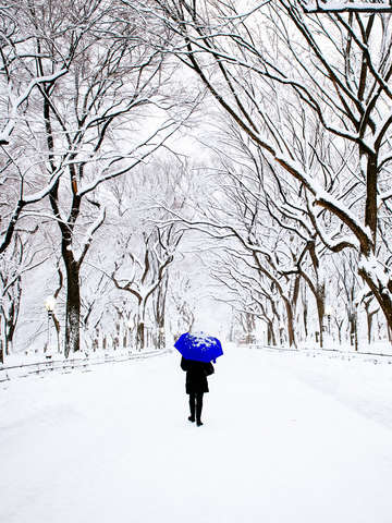 Winter walk blue umbrella