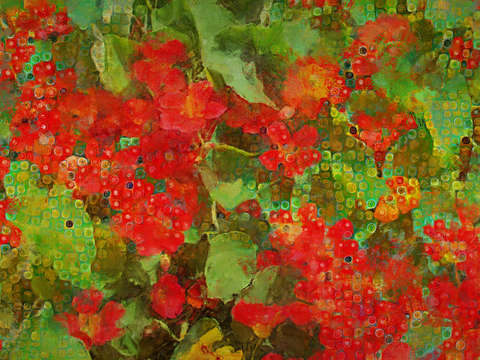 Nasturtiums 3