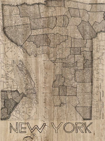 New york state 1900 vintage map