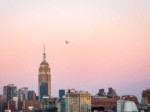 Fly skyline