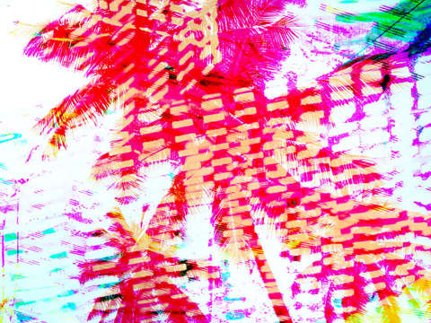 Pink yellow palms