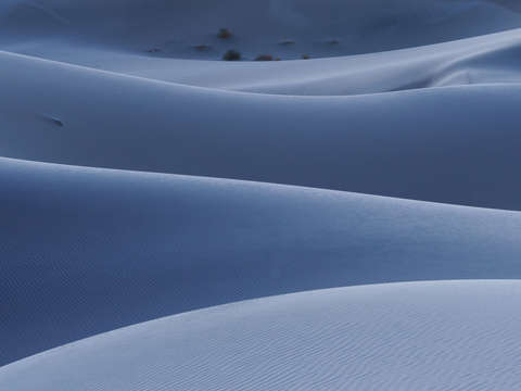 Blue dunes