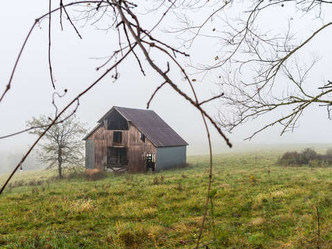 Foggy nixa barn