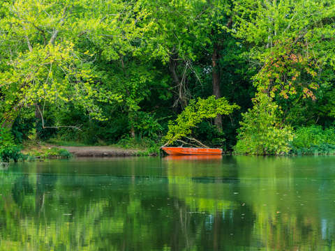 Orange boat waterscape
