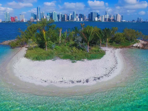 5 that drone life