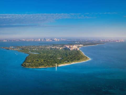 14 colorful fruitful miami