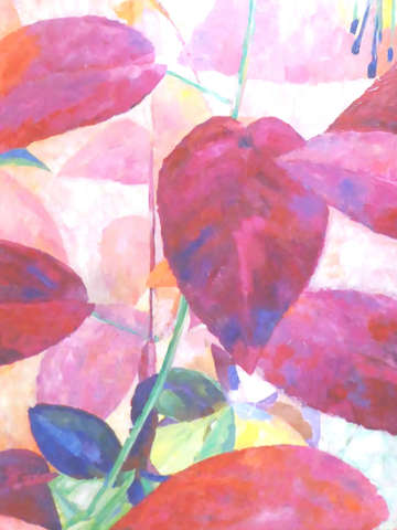 Colors of the wind