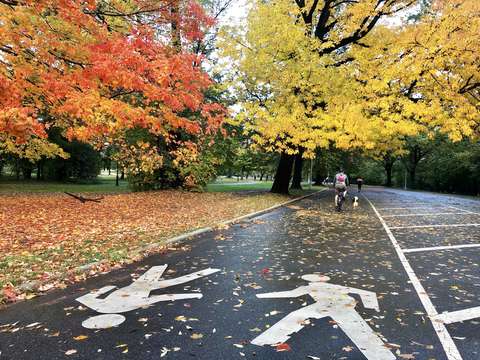 Autumn in city park brooklyn new york