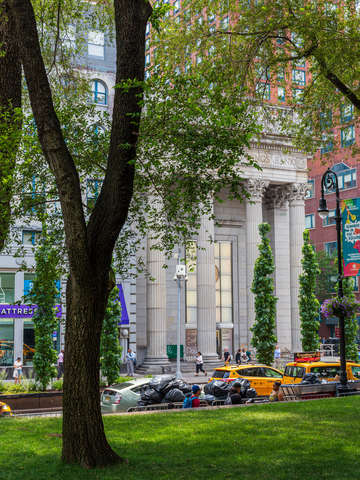 Union square tree manhattan nyc