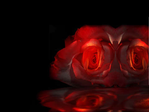 Rose fish