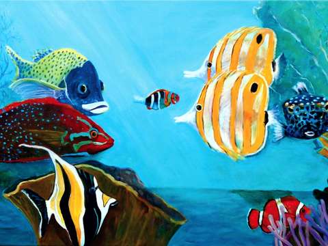 Reef rendevous ii