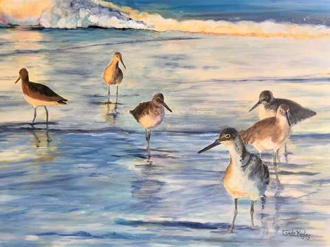 Early morning waders
