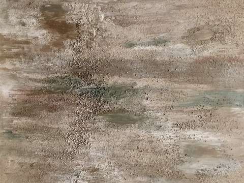 Found in arizona 3