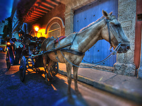 Horse carriage in color