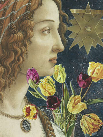 Stargazer 3