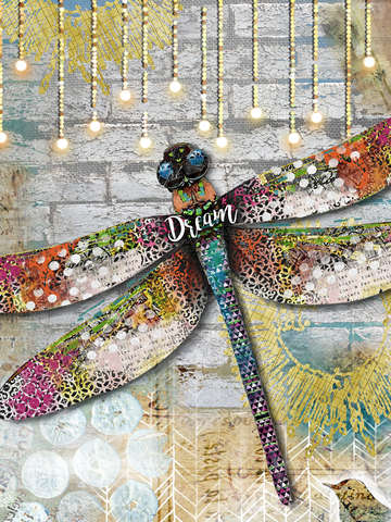 Sunny dream dragonfly