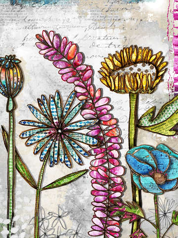 Blooms brightly