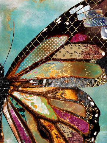 Blue skies butterfly wing