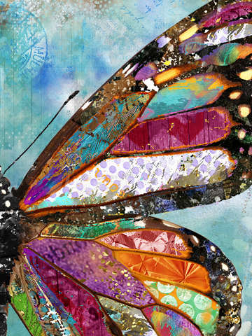 Woodland butterfly wing