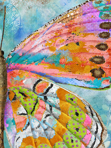 Celebration butterfly wing