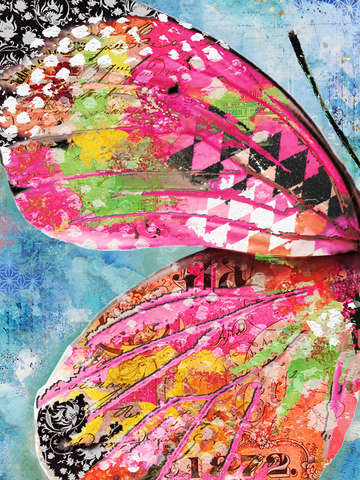 Wonderland butterfly wing