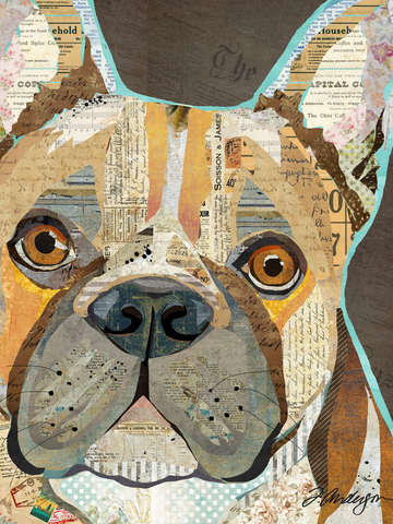 French bulldog collage