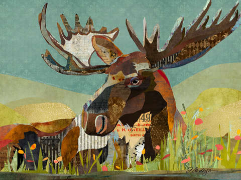 Sunbathing bull moose collage