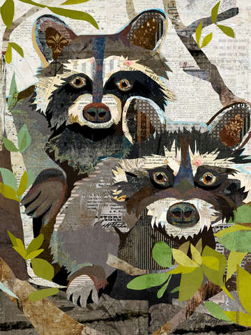 I spy silly raccoons